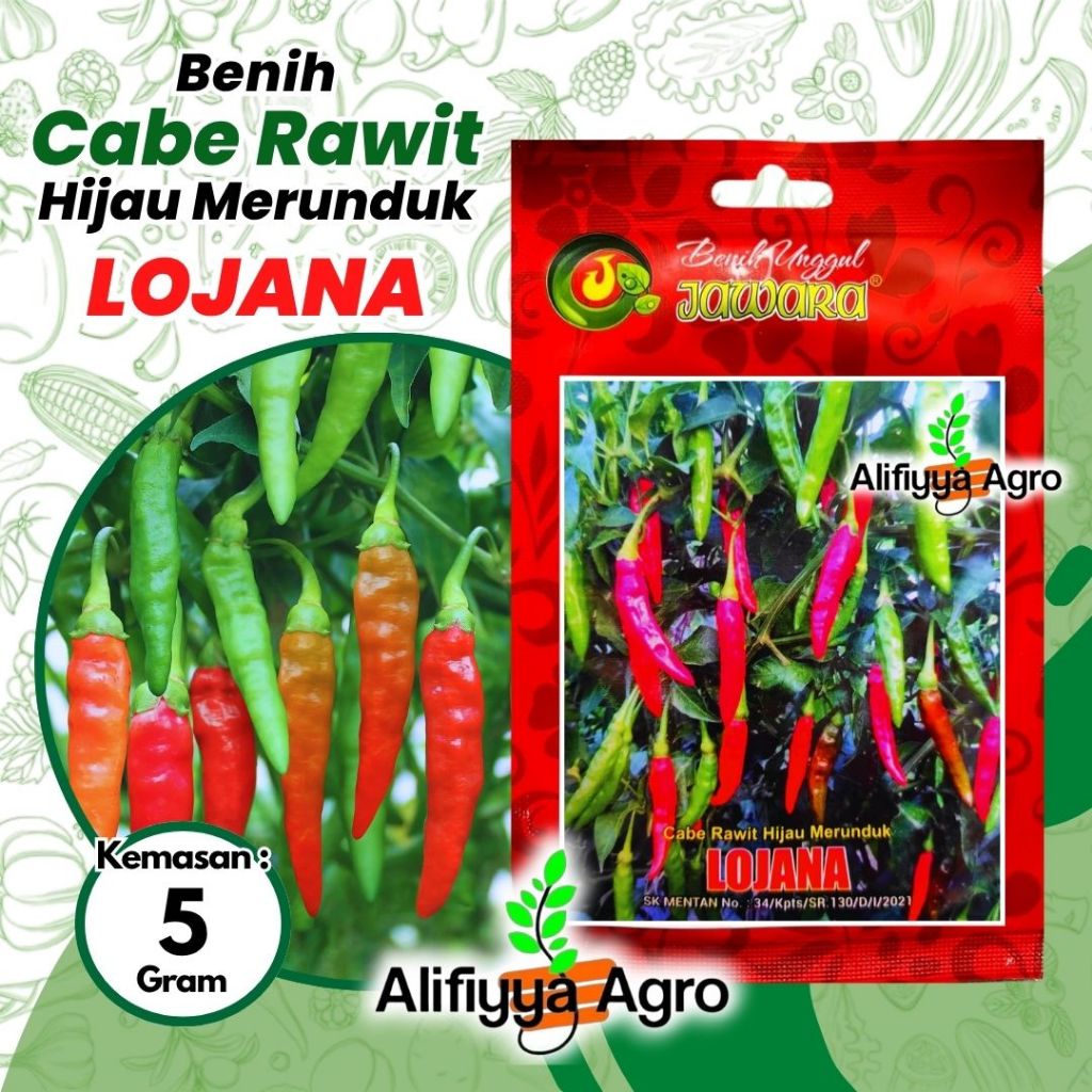 BENIH CABE RAWIT HIJAU LOJANA JAWARA ISI 5 GRAM ( +/- 1150 benih )