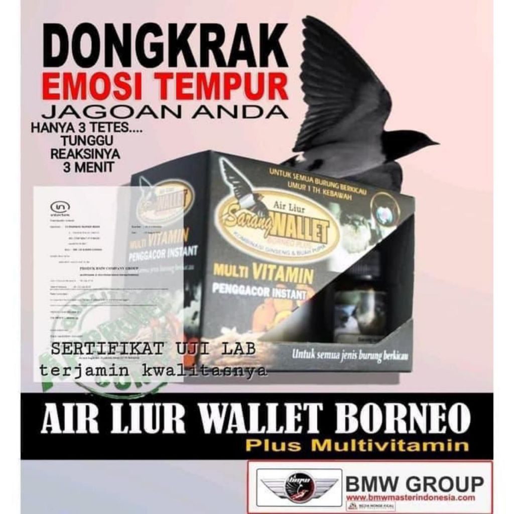 Dongkrak air liur walet borneo
