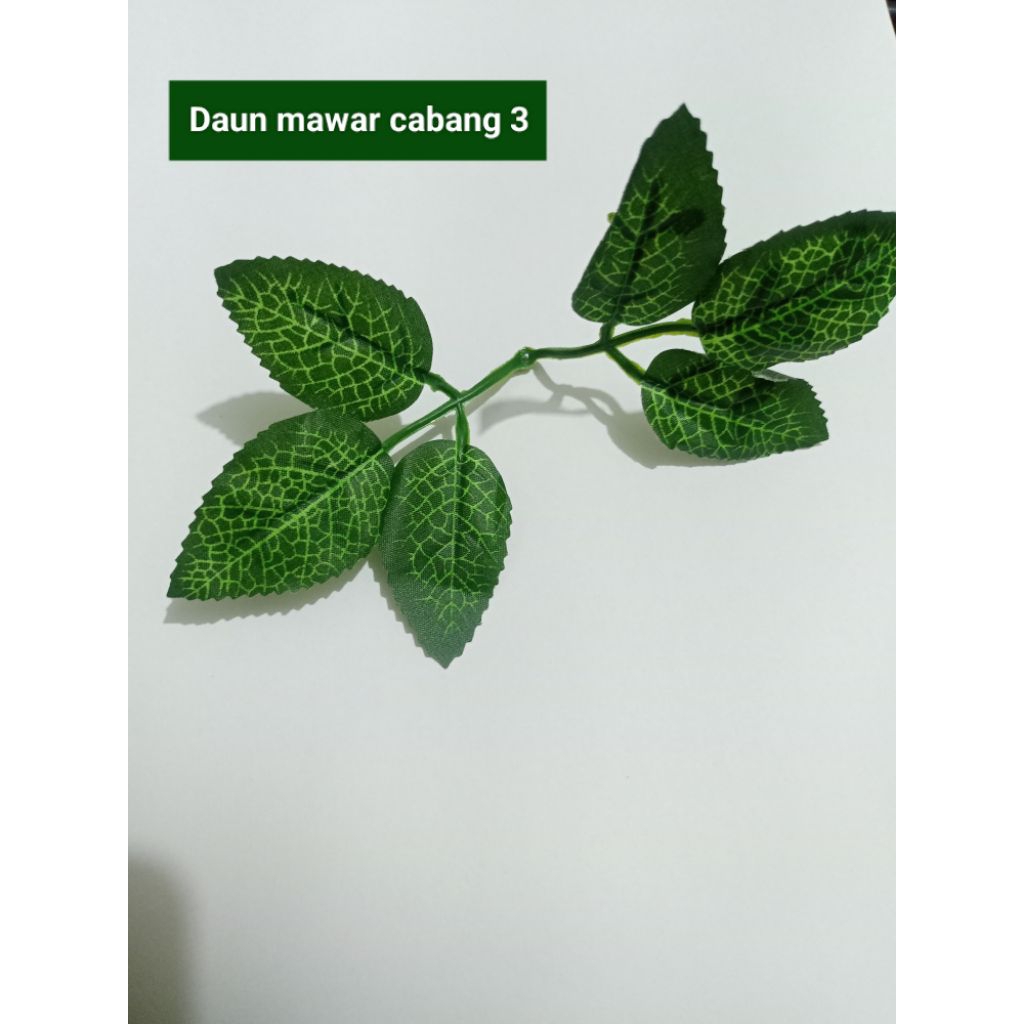 Daun hiasan buket / seserahan ( eceran )