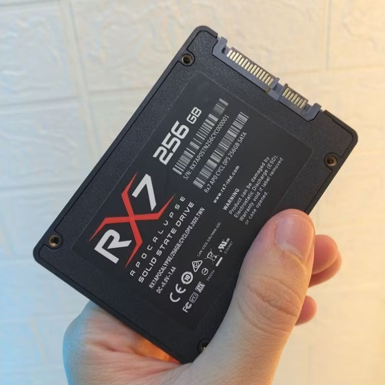 SSD SATA RX7 256GB