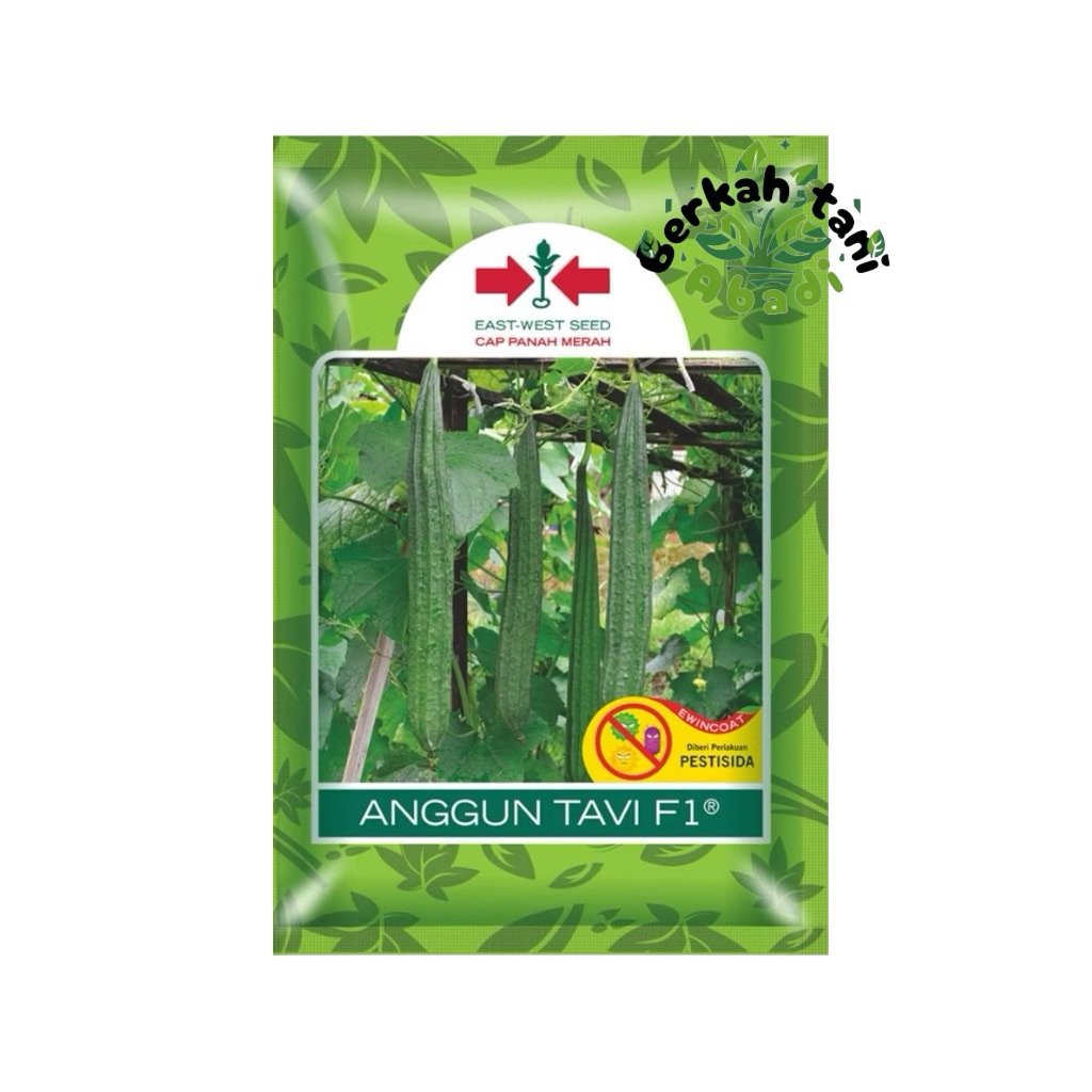 Anggun Tavi 75 Butir Benih Oyong Tahan Virus, Panen Cepat, Tanaman Vigor