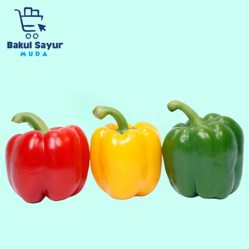 Paprika Segar Paprika Merah Paprika Hijau Paprika Kuning