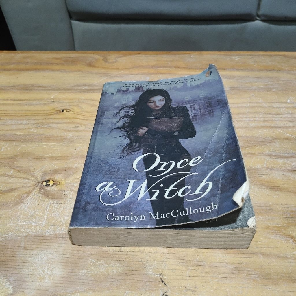 Novel Once a Witch