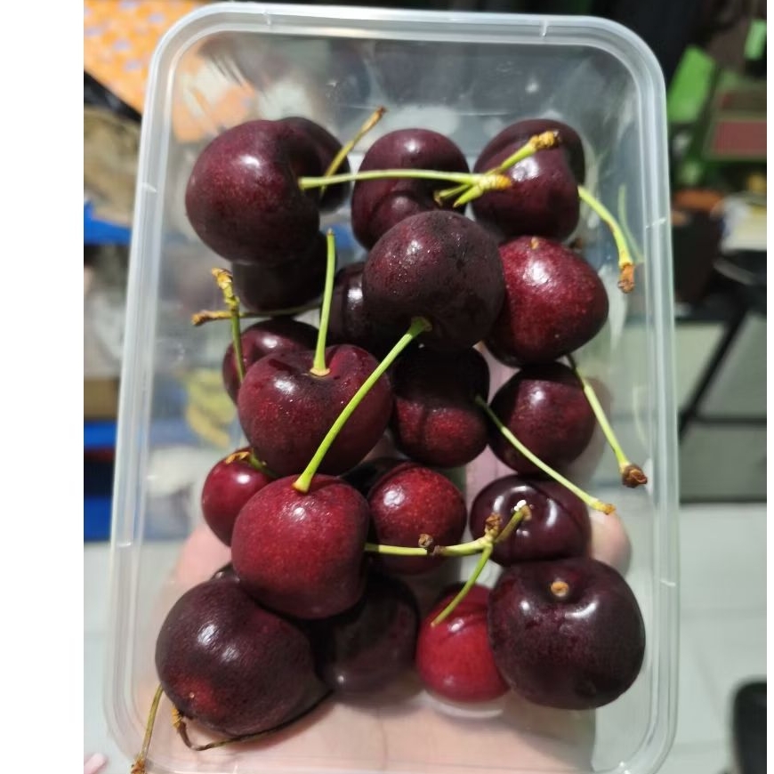 Buah Cherry Tasmania super premium jumbo pack 250 gram