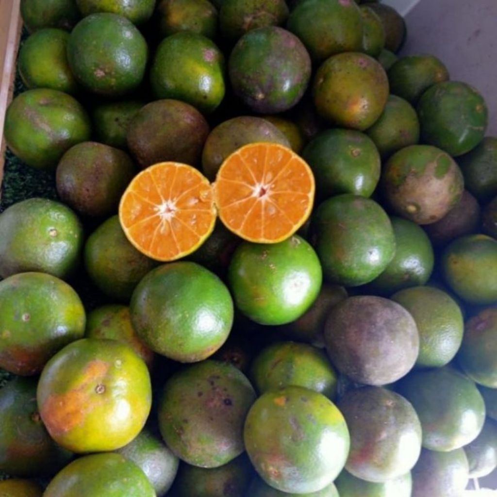 JERUK PERAS JERUK MANIS UNTUK ES 1KG