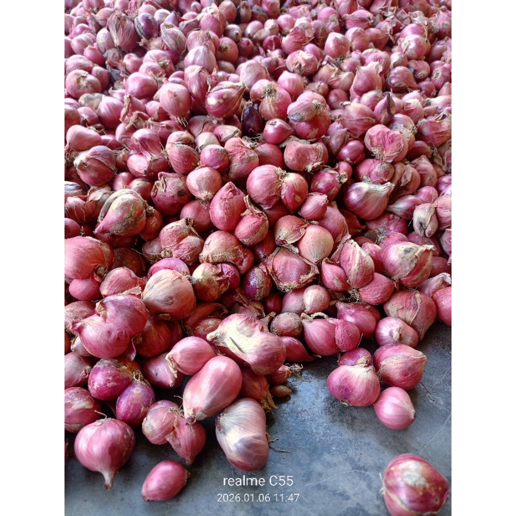 Bawang merah nganjuk