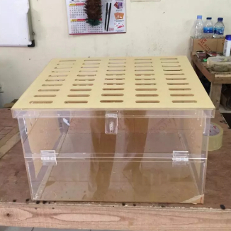 Kandang Gecko Custom Akrilik PxLxT 35x25x30cm