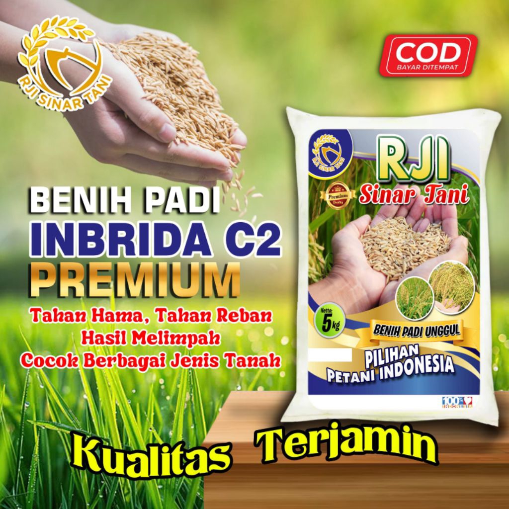 Benih Padi INBRIDA C2 premium Original 5KG