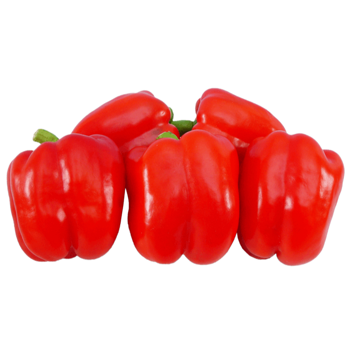 2 Benih Biji Paprika RED STAR