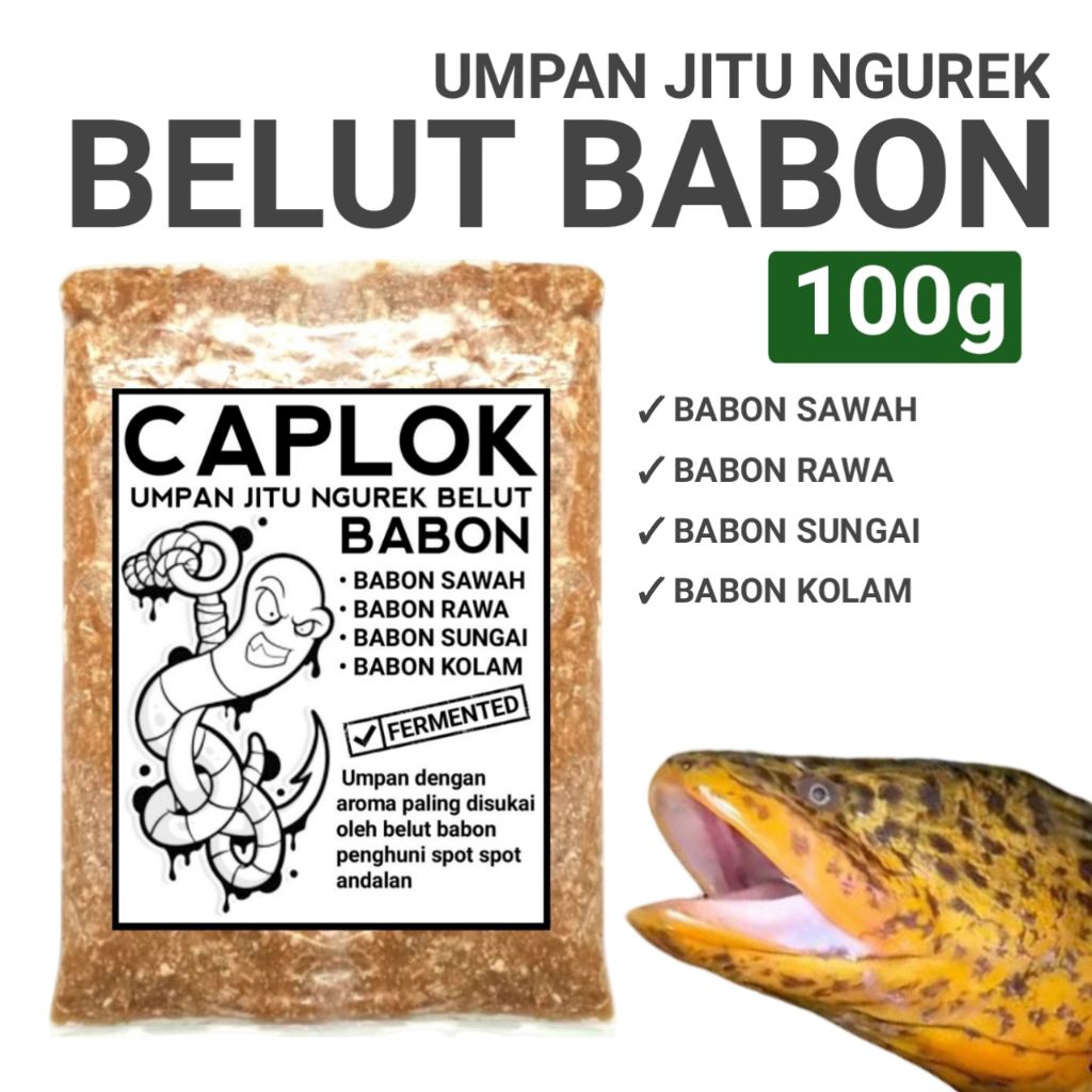 Umpan gacor ngurek belut monster