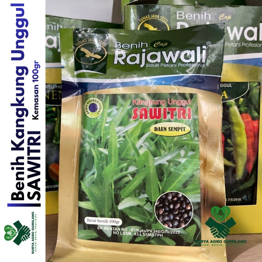 Benih Kangkung SAWITRI cap Rajawali | Kangkung Sawitri | Bibit Kangkung
