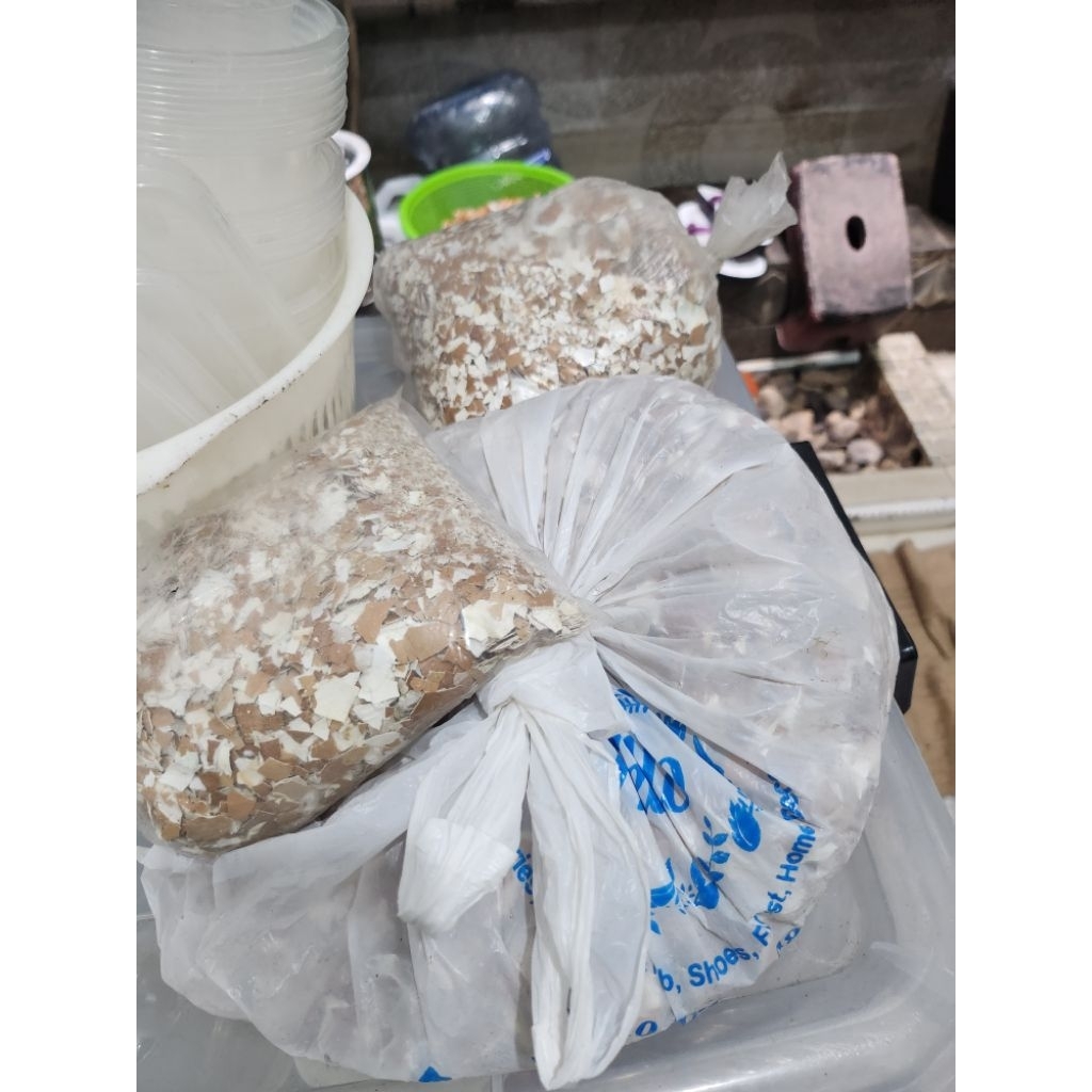 1 KG Cangkang Telur