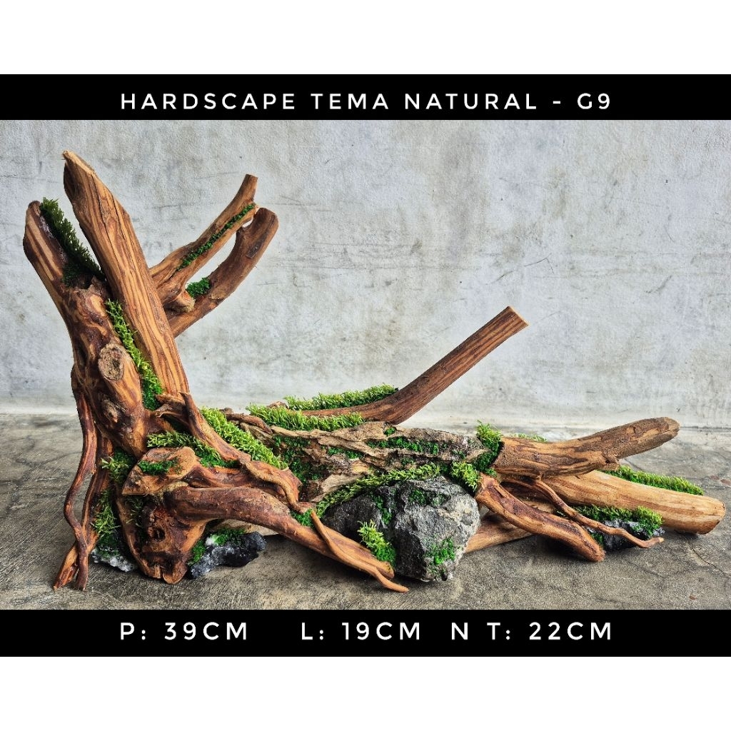 Hardscape Natural - G9