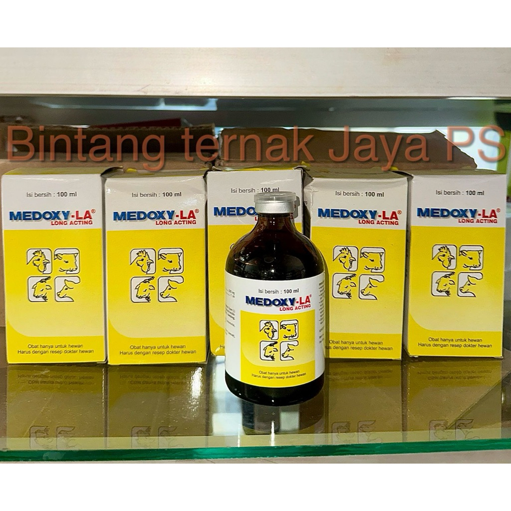MEDOXY LA ( Antibiotik spektrum luas untuk Sapi, kambing, babi dan unggas)