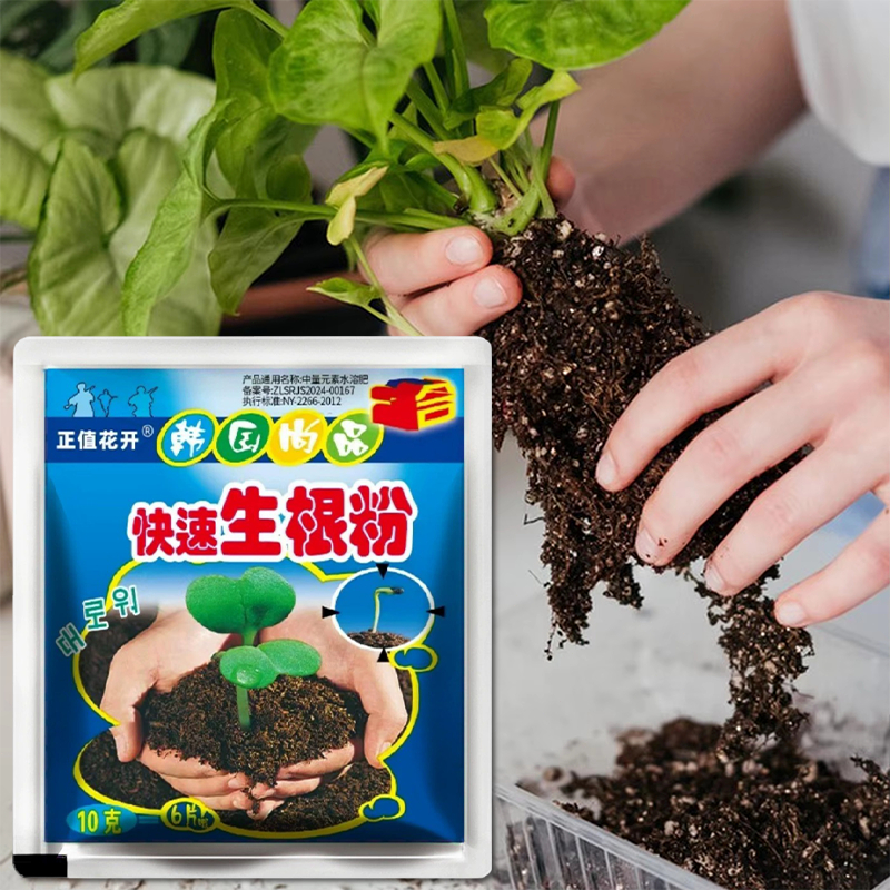 10PCS * 10g Serbuk Rooting Cepat Plant Growth Booster Kualitas Tinggi Rapid Rooting Powder Untuk