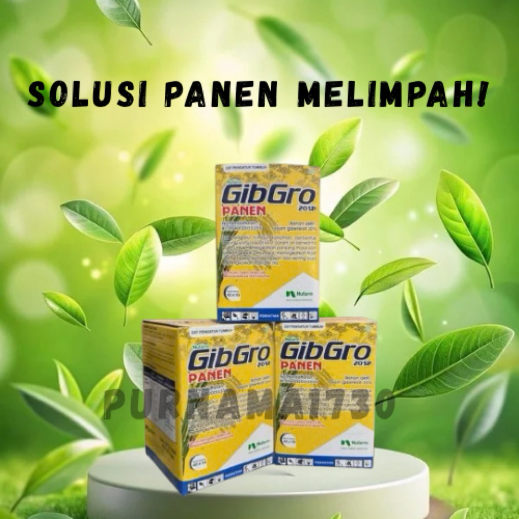 Gibgro Panen 20 SP ZPT Asam Giberelat 20% untuk Padi