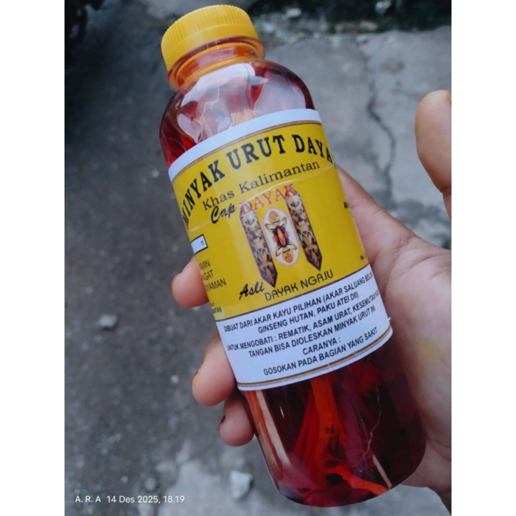 Minyak urut Dayak khas kalimantan