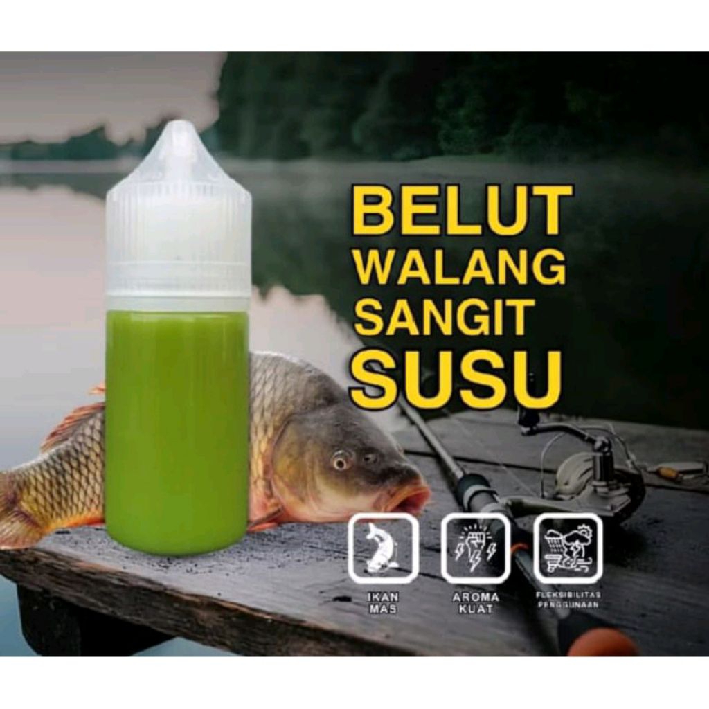 Essen ikan mas belut walang sangit susu anti boncos