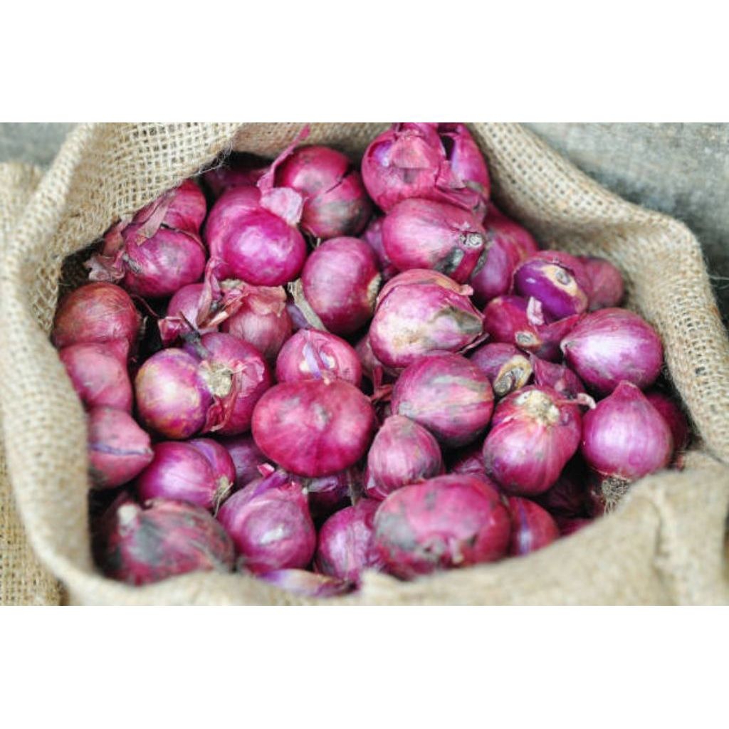 bawang merah bogor 1 KG