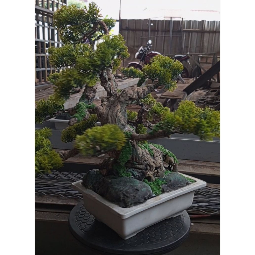 replika bonsai/bonsai sintetis