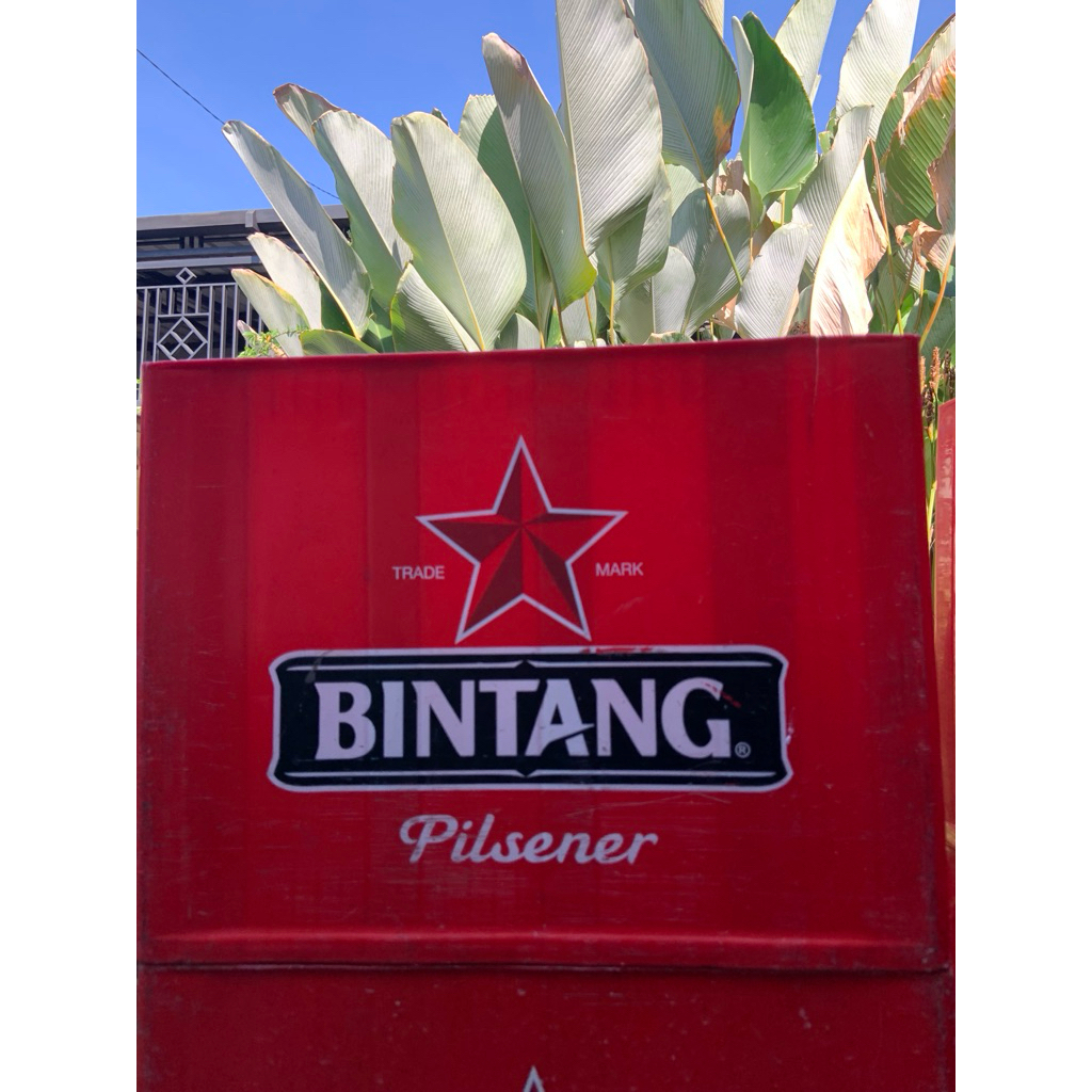 krat minuman bintang