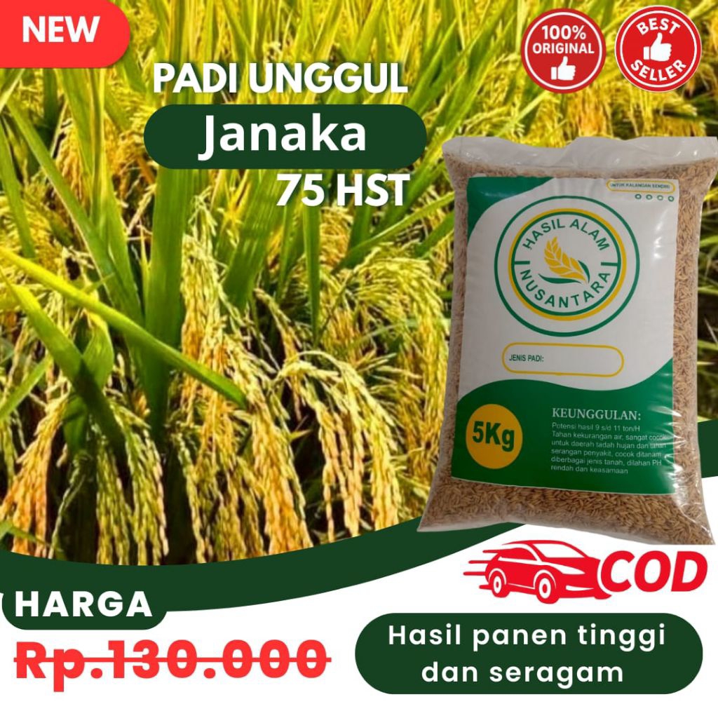 Benih padi unggul JANAKA 85HST nasi pulen panen melimpah tahan rebah
