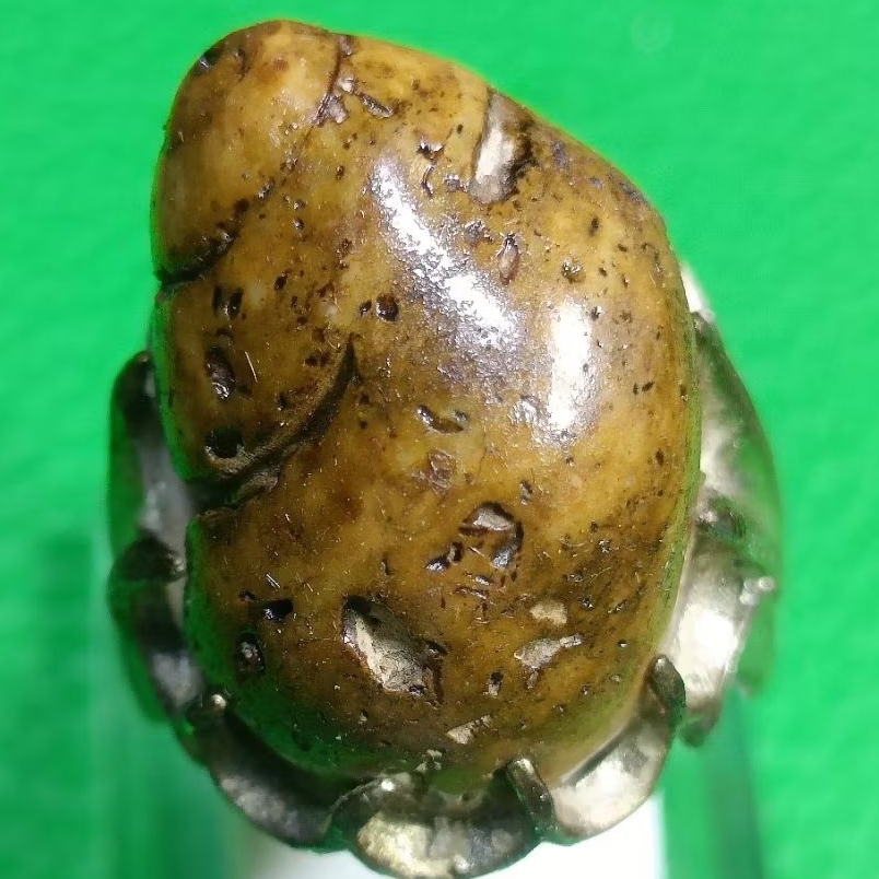 batu akik posssil kol Buntet asli Natural alam sakarall