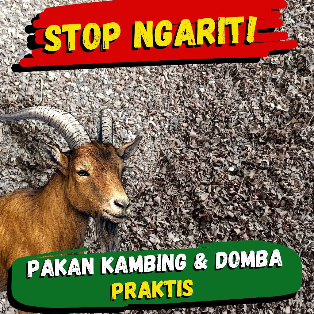 Kulit Singkong Kering Pakan Kambing dan Domba Pengganti Rumput Murah