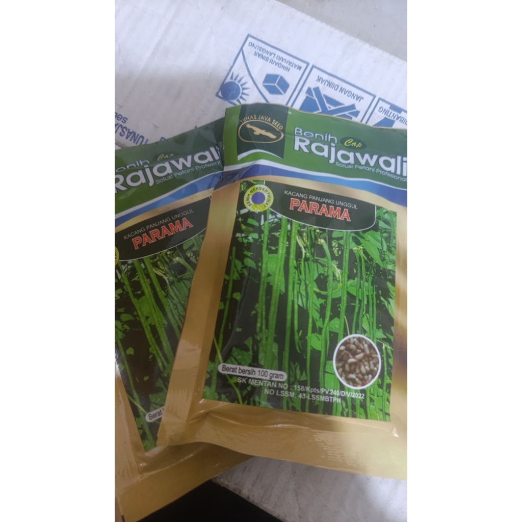 Kacang Panjang Panama Rajawali