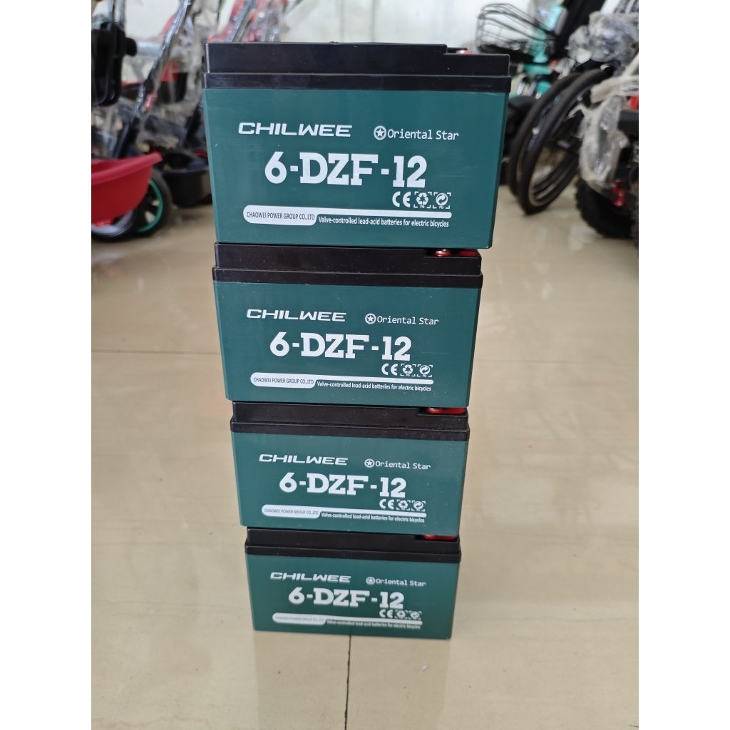 BATTRAI AKI UNTUK SEPEDA LISTRIK UNITED. GENIO. PASIFIC. EXOTIC. UWINFLY. GODA. CHILWEE 48V 12AH ORI