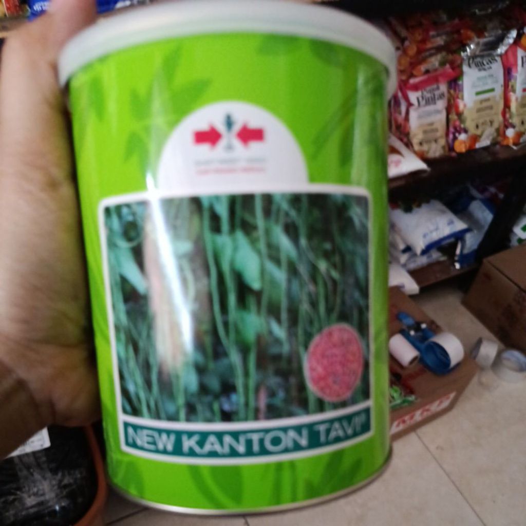 kacang panjang new kanton tavi 500gr