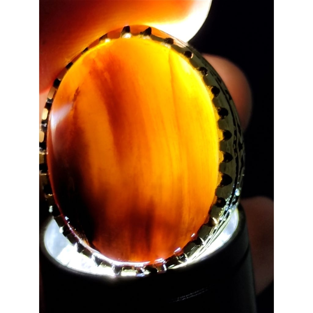 Natural Nagasari Petrified Wood, CRYSTAL / Batu Fosil Kayu Nagasari, KRISTAL, 1