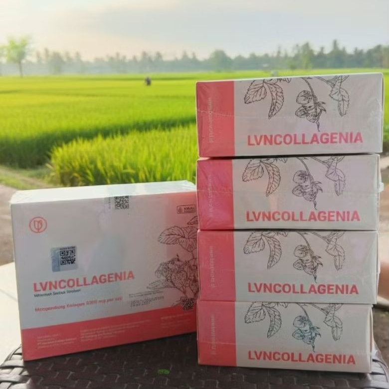 LVNCOLLAGENIA Paket Hemat 5 Box Collagen Rasa Strawberry Original BPOM untuk Kesehatan Kulit dan Ram