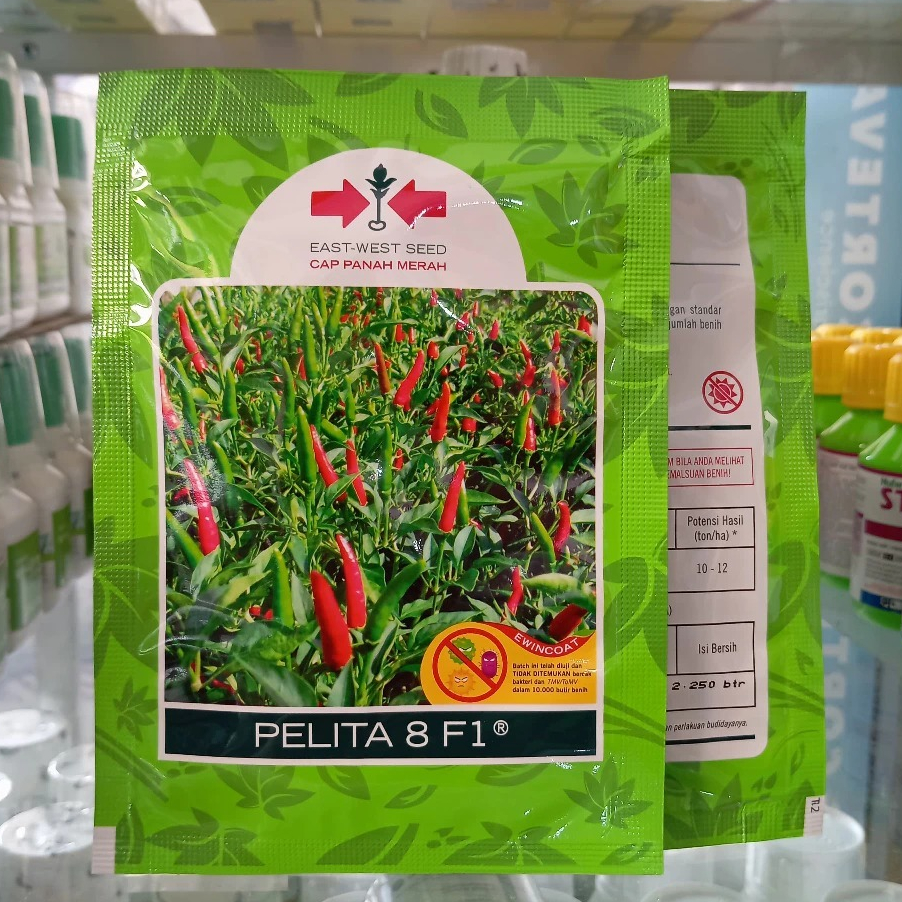 CAP PANAH MERAH Benih Cabai Rawit Pelita 8 F1 2250 Biji Pedas Tahan Bakteri 1,5x BARA