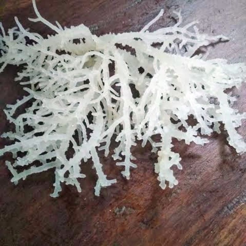 Rumput Laut Kering Original Putihan