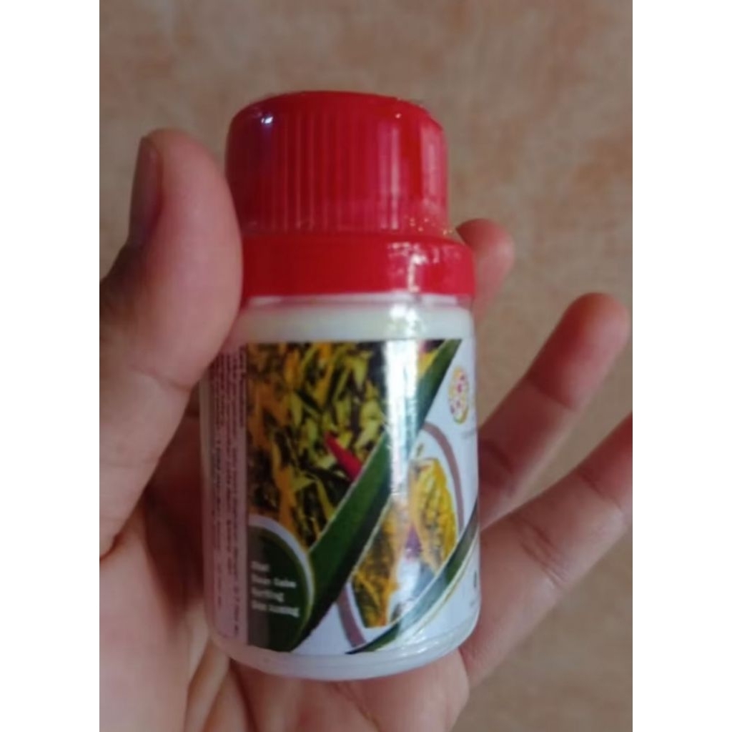 Pupuk Organik cabai Anti Virus Keriting obat Daun Menguning Cabe Atasi Daun Kuning