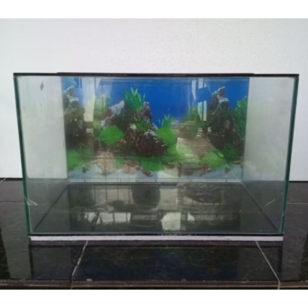 aquarium 50x30x30