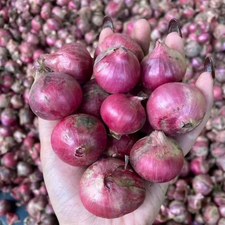 Bawang Merah Lokal 1kg