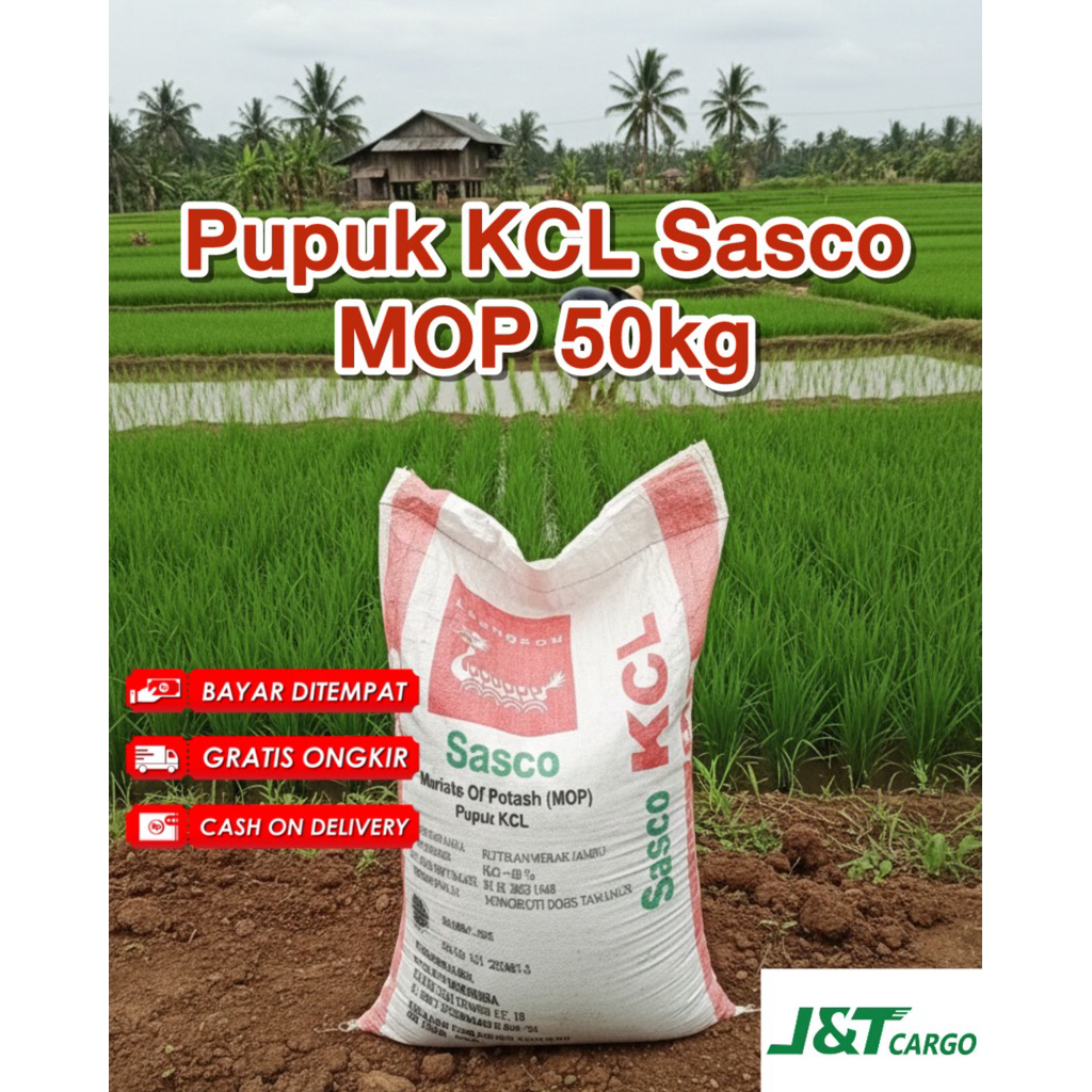 Pupuk KCL / MOP Sasco Kemasan 50 kg