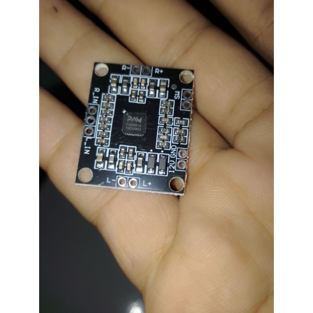 POWER PAM CLASS D MINI 12V 8610