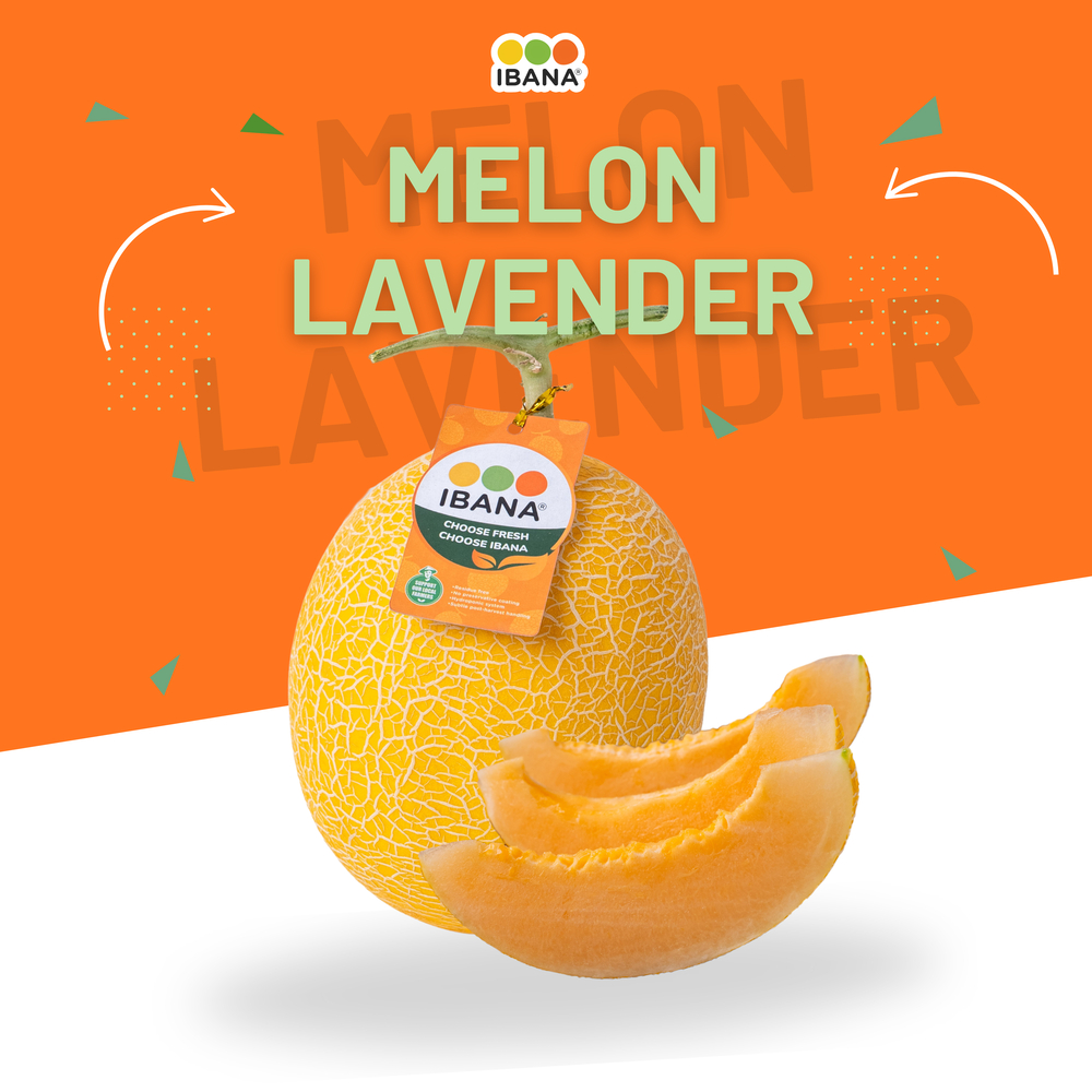 Melon Lavender IBANA