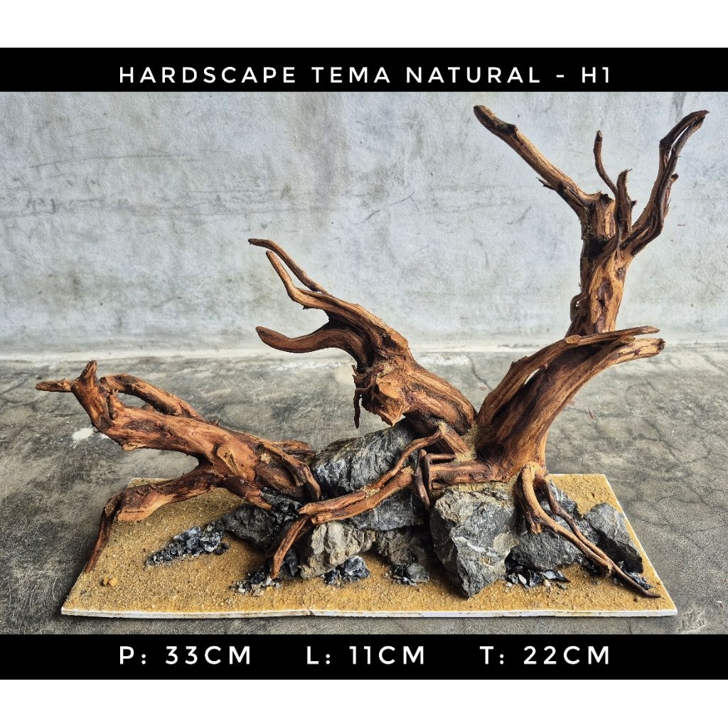 HARDSCAPE NATURAL - H1