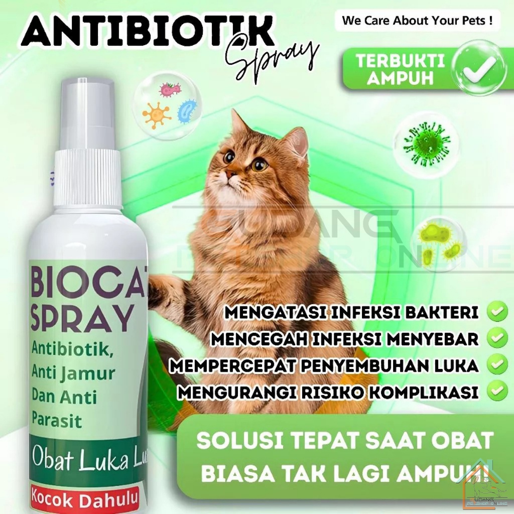 Biocats Spray Obat Luka Luar Kucing Dan Anjing Antibiotik Anti Jamur Dan Anti Parasit Cepat Kering