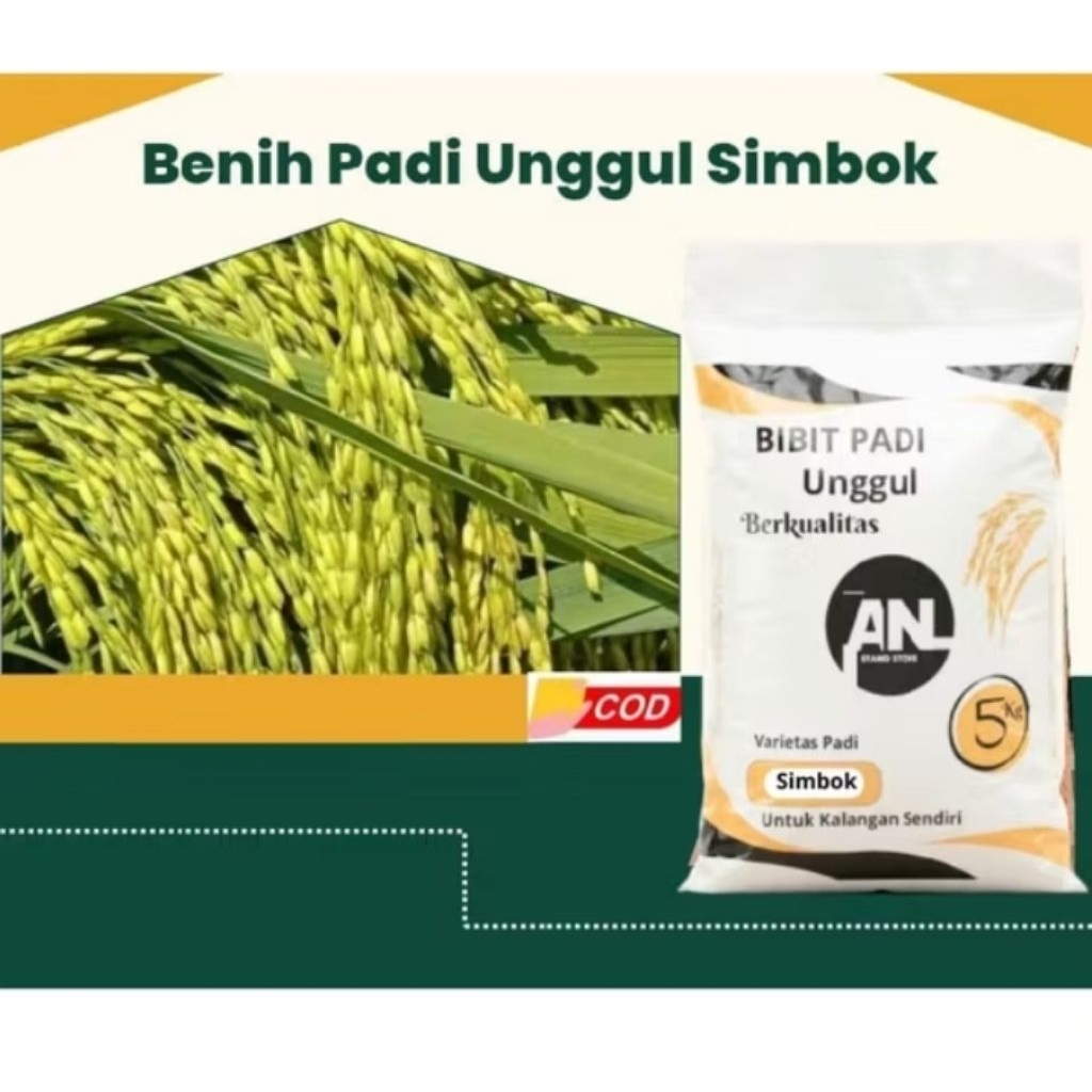 Simbok -5Kg Original Varietas Padi Berbobot Tahan Hama Hasil Optimal