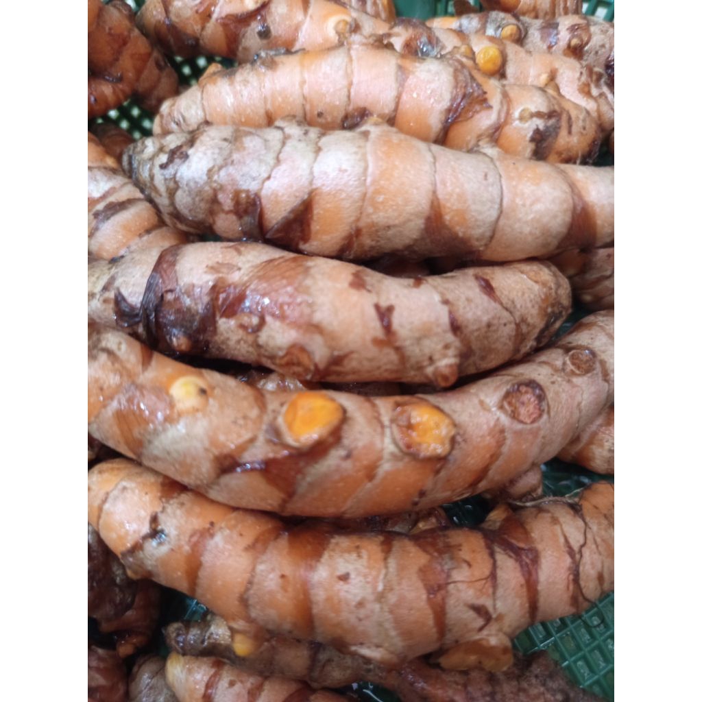 KUNYIT SEGAR 1kg segar
