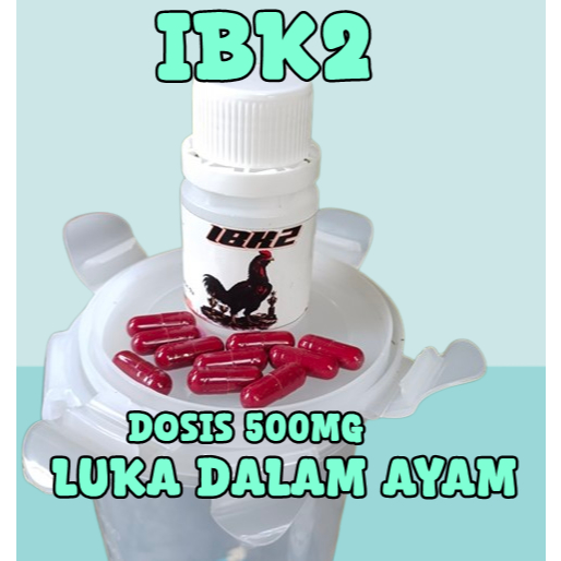 IBK2 Obat Ayam luka dalam - Obat Ayam luka pukul - Obat lukadalam Ayam Aduan - Obat abis abaran Ayam