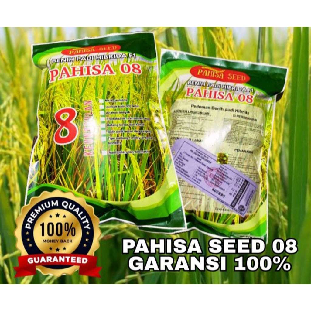 (1KG)BENIH PADI HIBRIDA PAHISA 05 POTENSI TINGGI BERKUALITAS OROGINAL