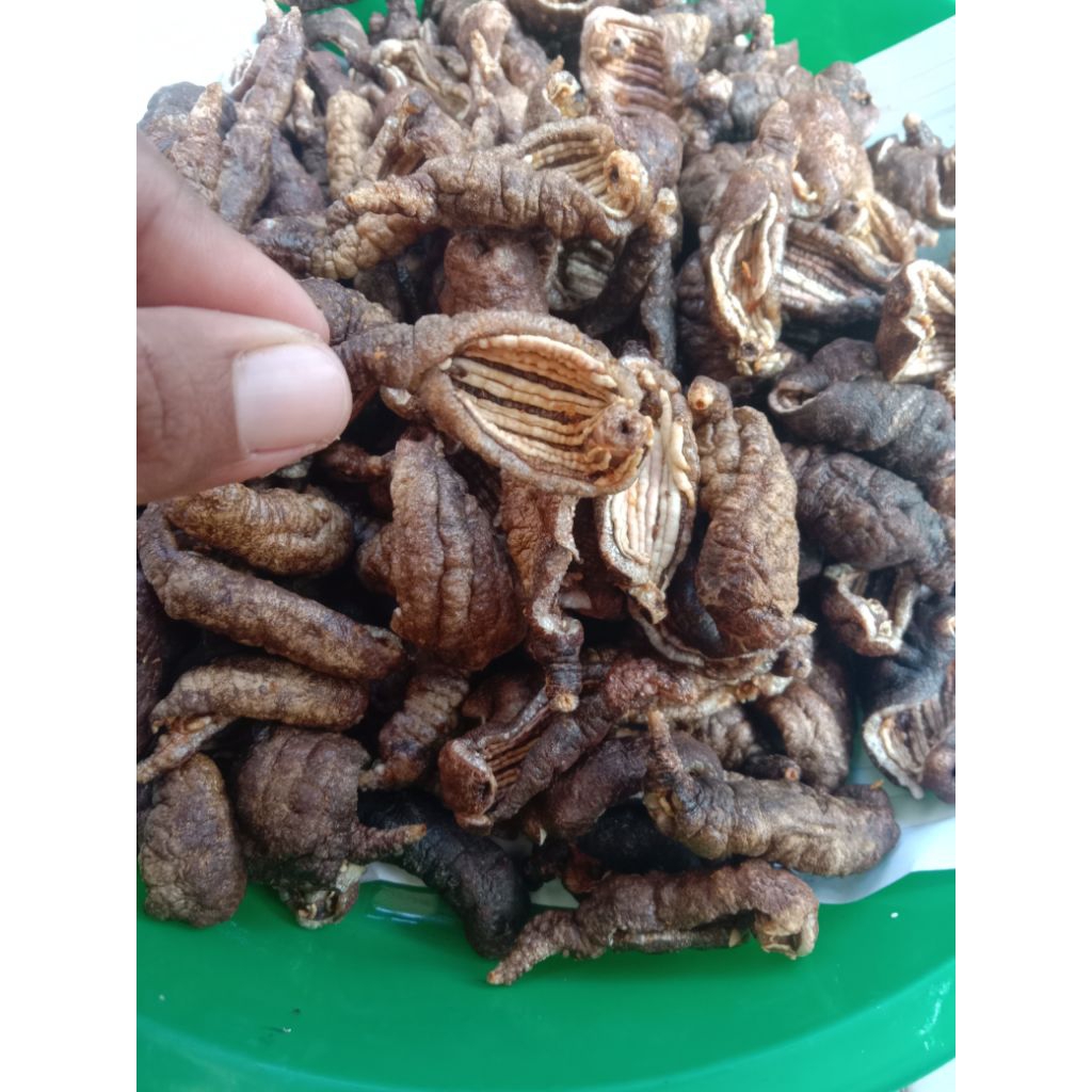 krupuk tripang/blonyo 100gram