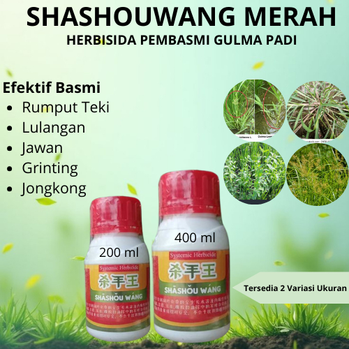 Shashouwang Merah Pembasmi Rumput Liar Herbisida Sistemik Selektif Obat Rumput Grinting Jawan Lulang