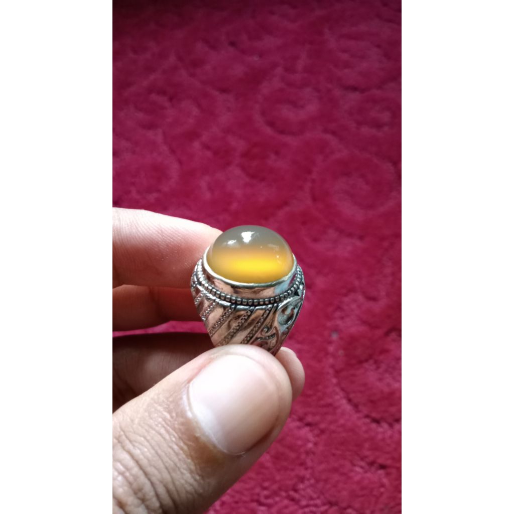 Batu Bio Solar Raflesia Bengkulu lawasan